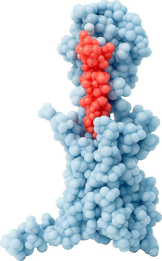 Rendered protein-protein complex beside a molecular profile for affinity, selectivity, conditional binding, species reactivity, and expression